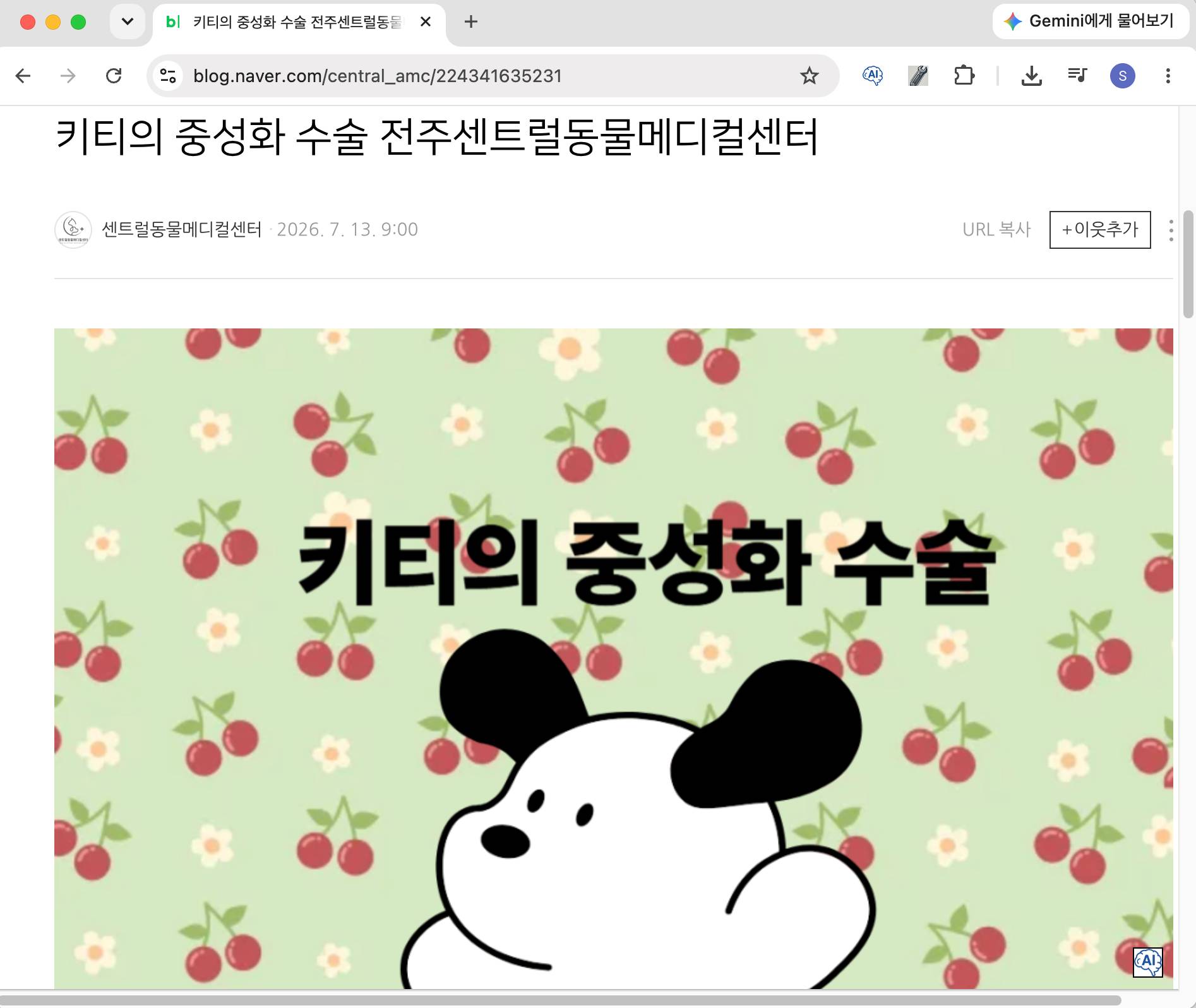 센트럴동물메디컬센터 네이버 블로그